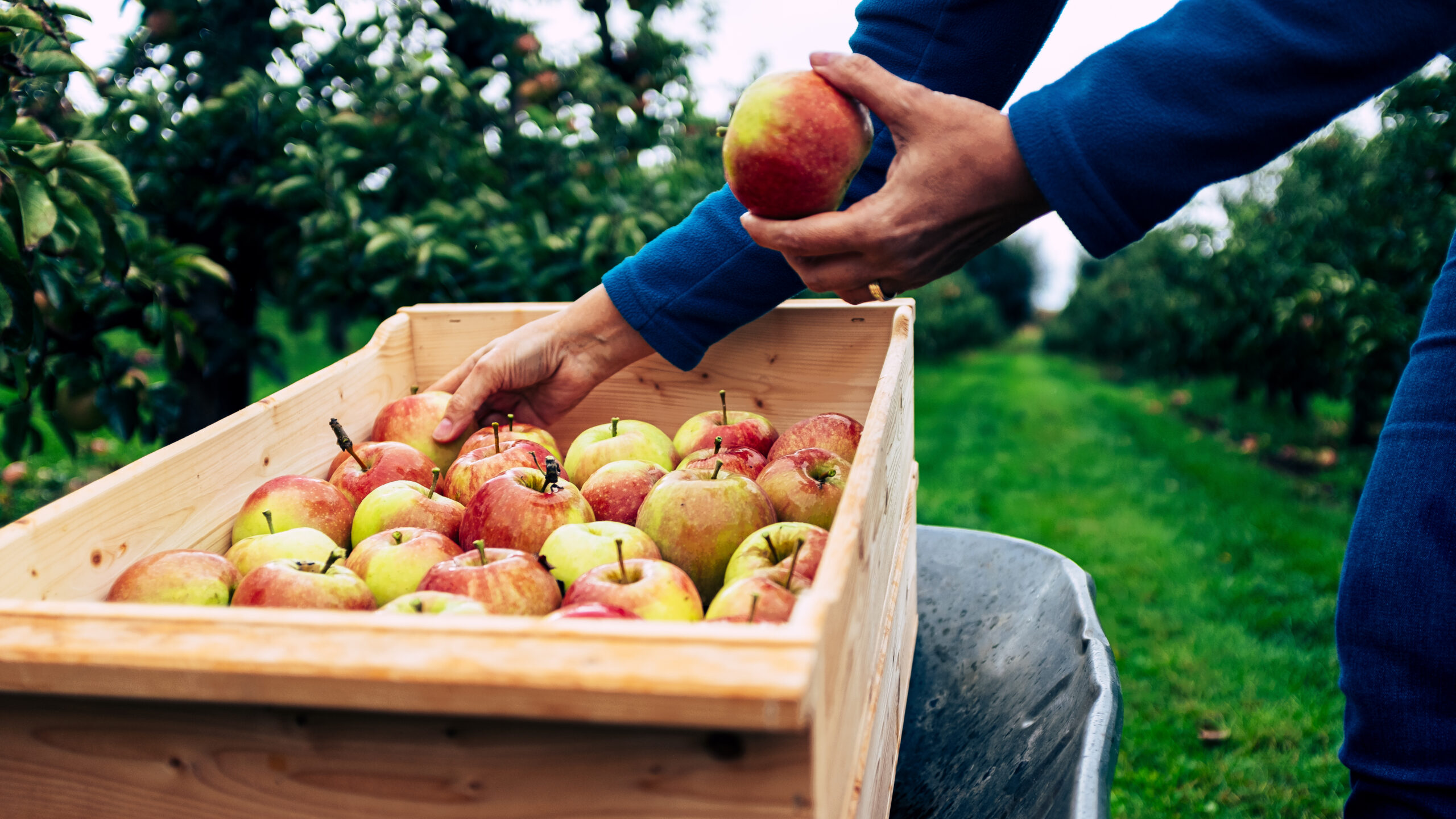 Técnico ajustando sistema de calefacción